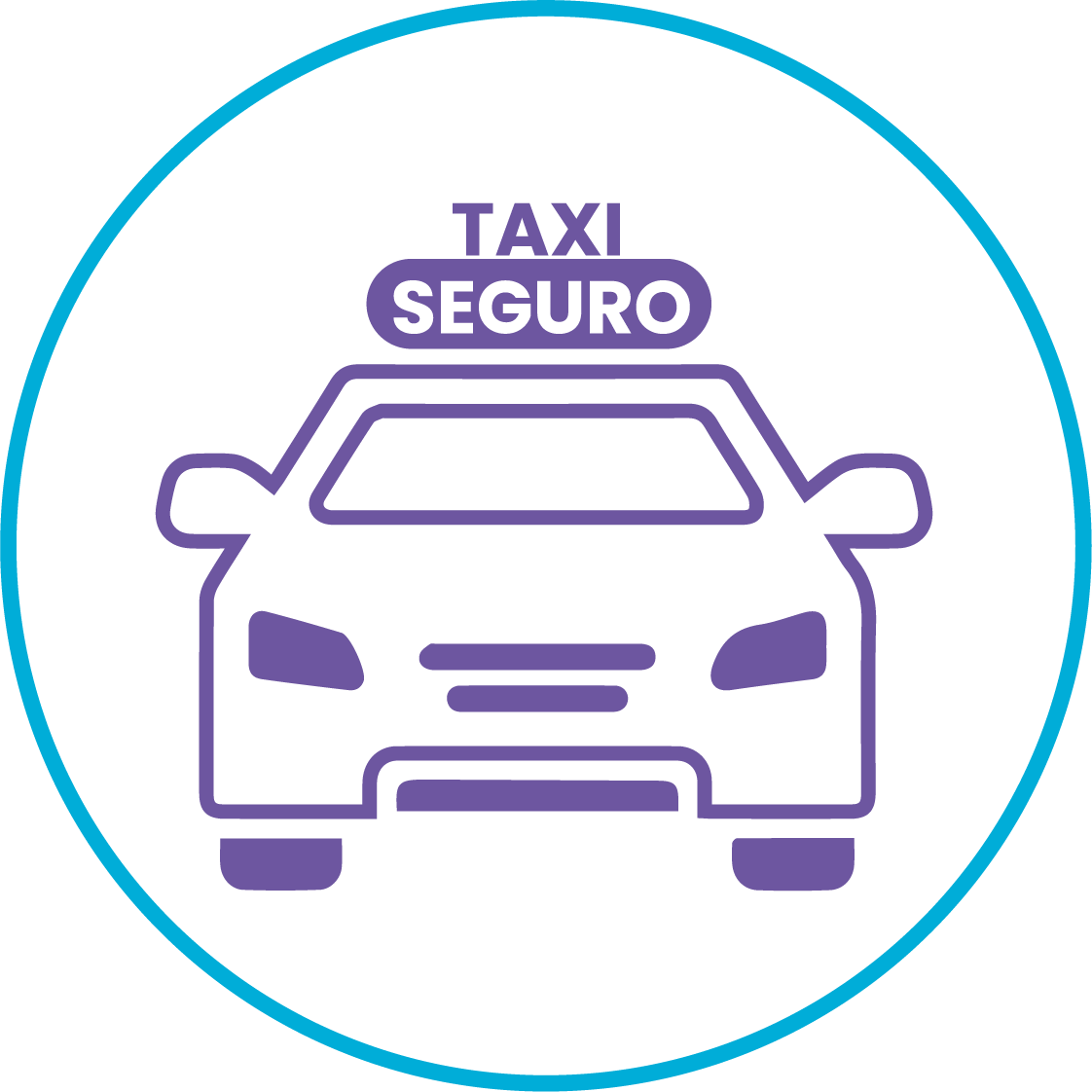 Taxi Seguro